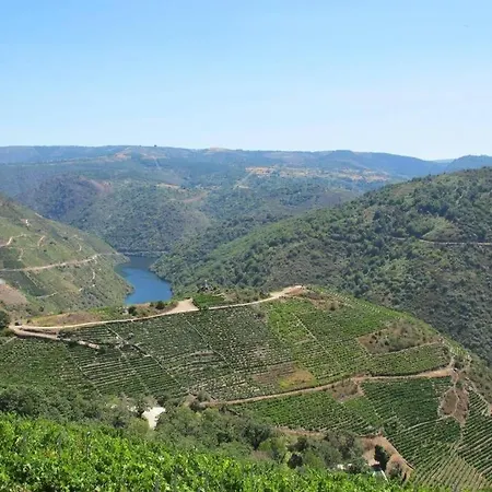 Casa Nides Apartamento *