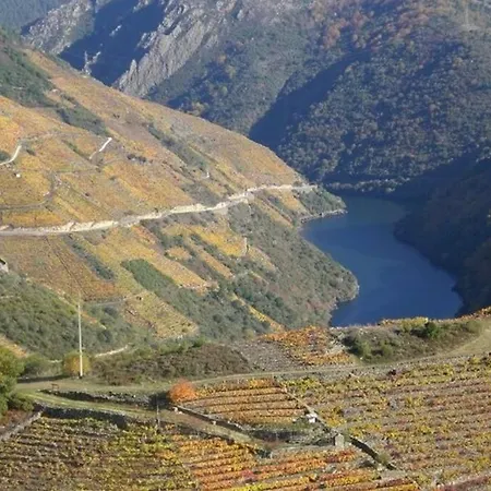 Casa Nides Apartamento *