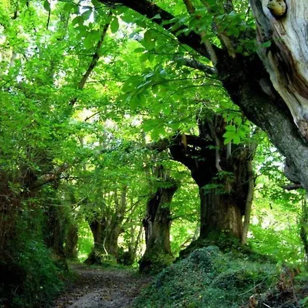 Casa Nides Apartamento