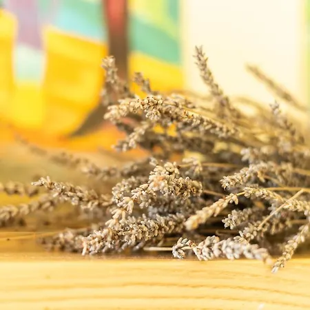 Apartamento Casa Nides