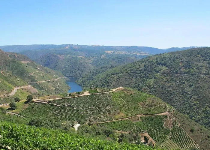 Casa Nides 아파트 *