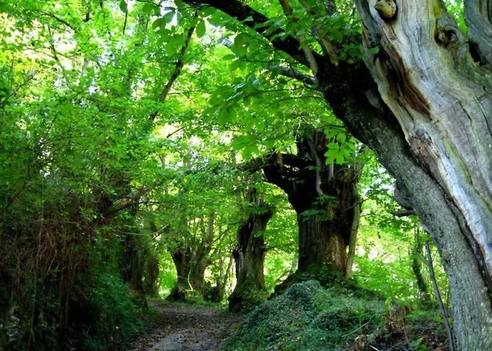 Casa Nides 아파트